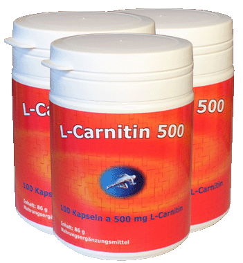 3er Pack L-Carnitin 500  - Aktionspreis